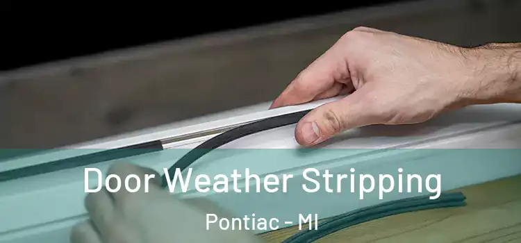 Door Weather Stripping Pontiac - MI
