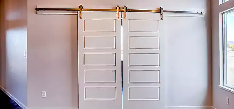 Glass Barn Door with Installation Hardware Kit Pontiac