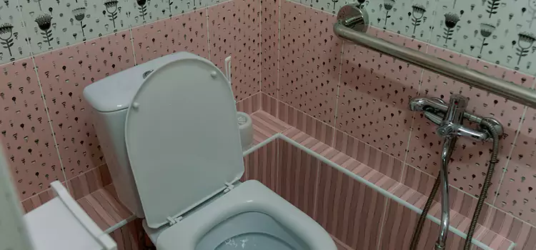 Meeting Diverse Needs With Accessible Restroom Solutions in Pontiac, MI