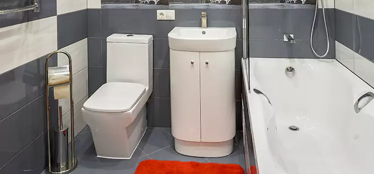 Hansgrohe Shaving Mirror Pontiac